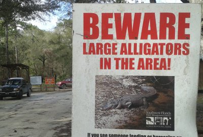 florida trail alligators