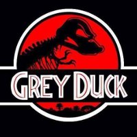 Grey Duck #1duck1love 2016 Ultimate National Champs