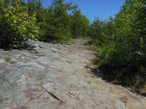 Magnetic Rock Trail Terrain