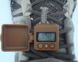 geopalz pedometer