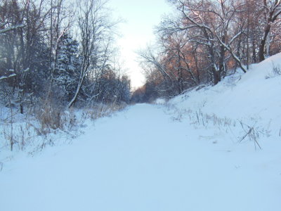 snow covered trail