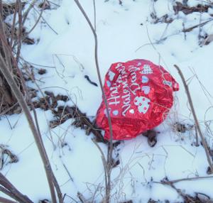 mylar balloon litter