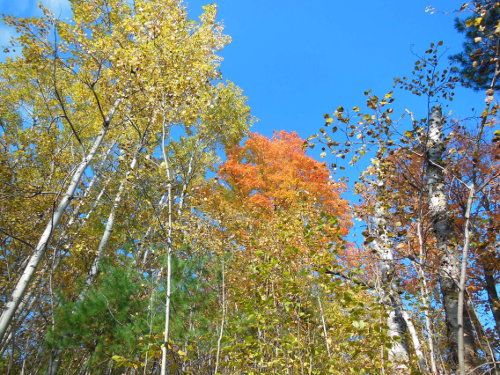 Fall Hiking