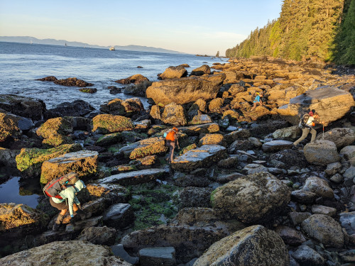 Rock Scrambling