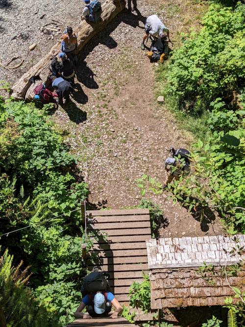 West Coast Trail Ladders