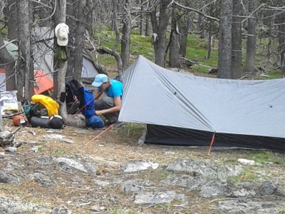 bear paw shelter