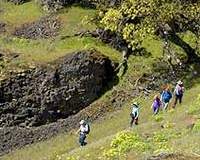 group hiking