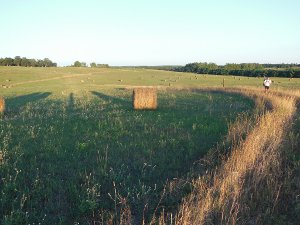 Trail through Field