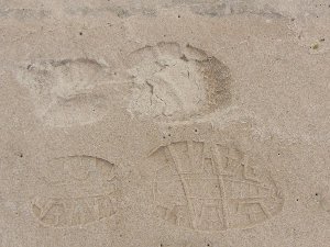 Lake Michigan Footprint