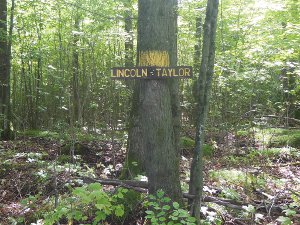 Lincoln Taylor county line