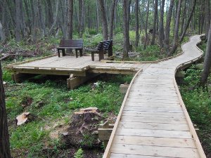 Plover River Boardwalk