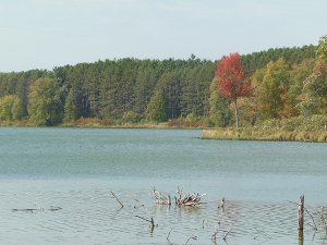 More Fall Colors