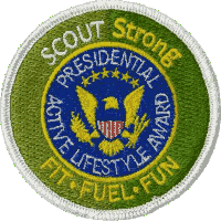 ScoutStrong PALA award patch
