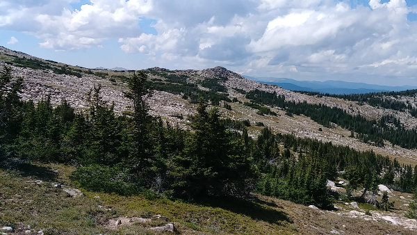 Mn Downpour Pant - Track 'N Trail