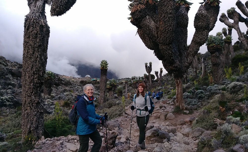 Kilimanjaro Baranco Camp