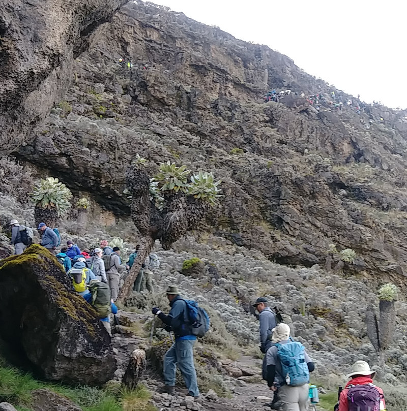 Kilimanjaro Baranco Wall