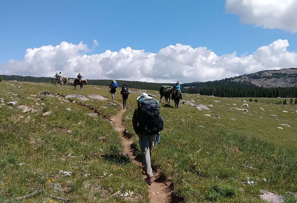 Horses near Battle Park trailhead