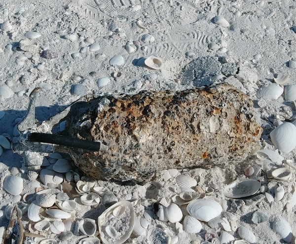 Florida Beach Trash