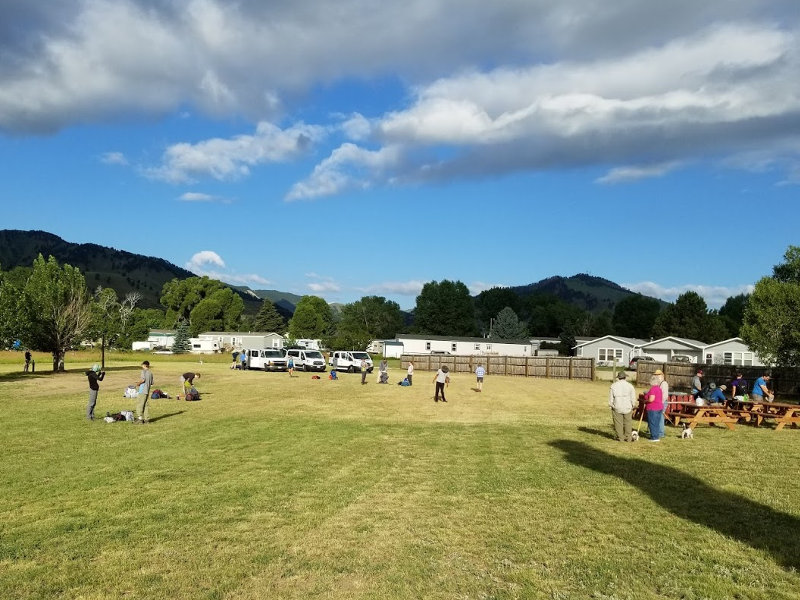 big horn campground in buffalo