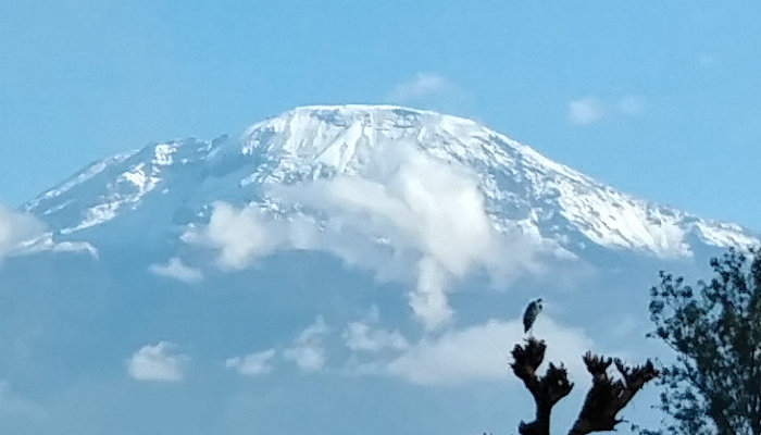 Climbing Kilimanjaro