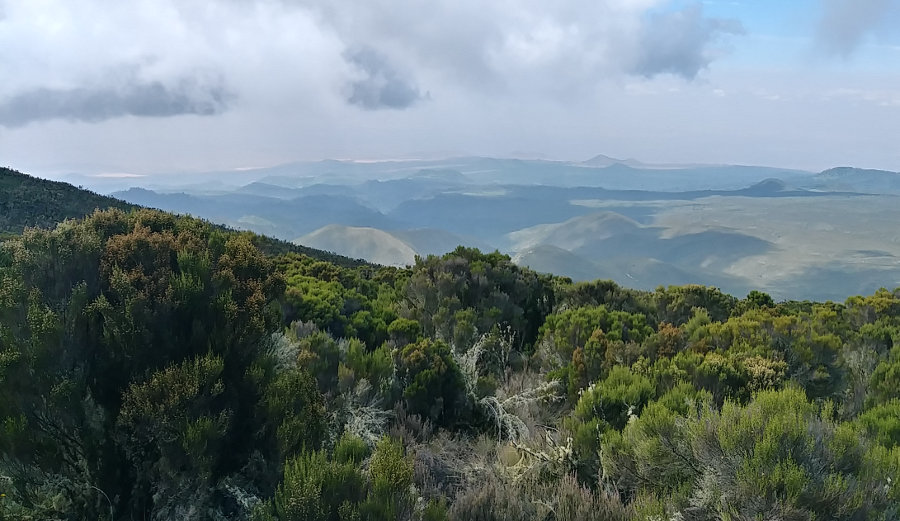 Kilimanjaro Lemosho Route