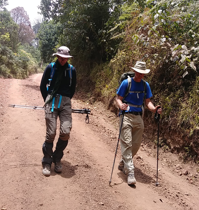 Kilimanjaro Roadwalk