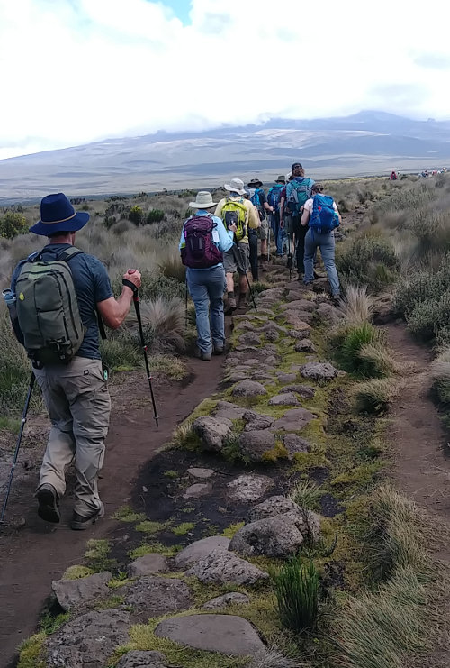 Kilimanjaro Rock Trail