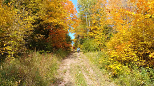 Cascade River Ski Trails