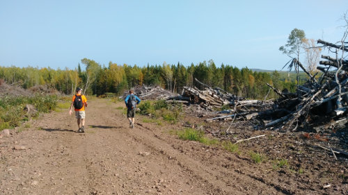 Superior Clearcuts