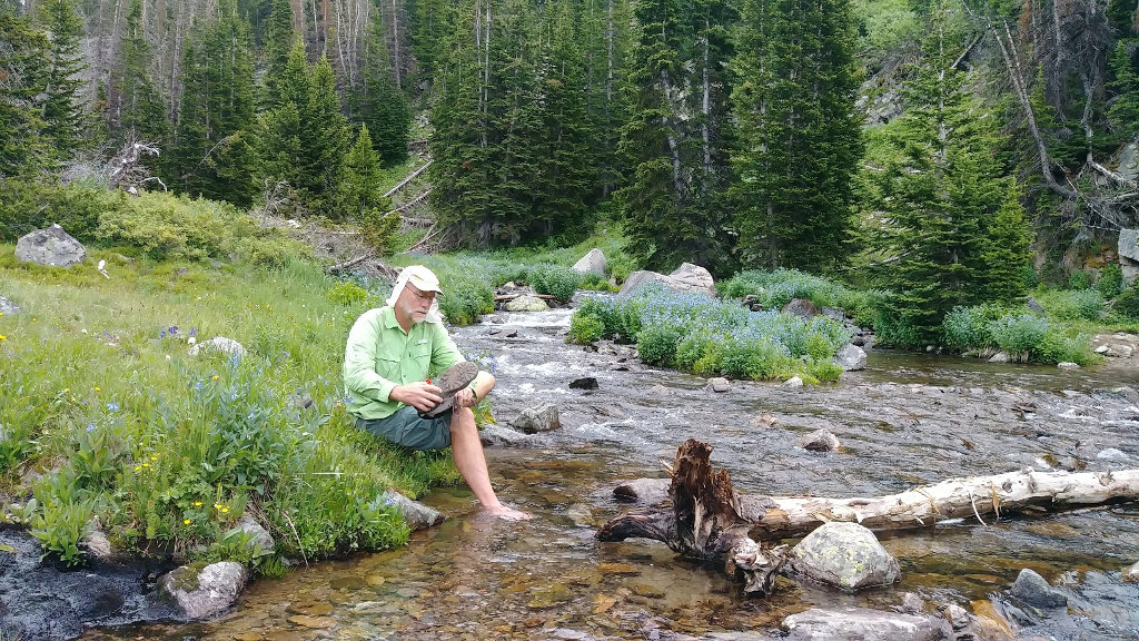 Stream Crossing