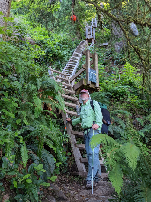 Lots of ladders on west coast trail