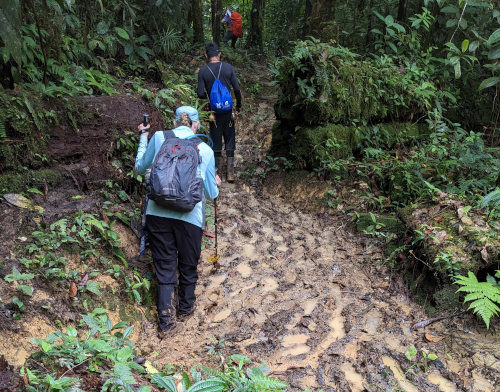 Muddy Trails