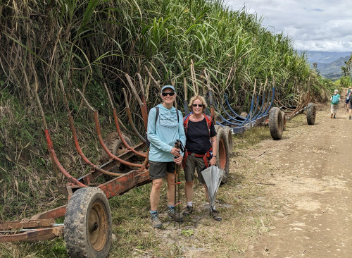 Sugar Cane Trailers