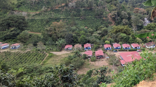 Coffee Plantation Housing