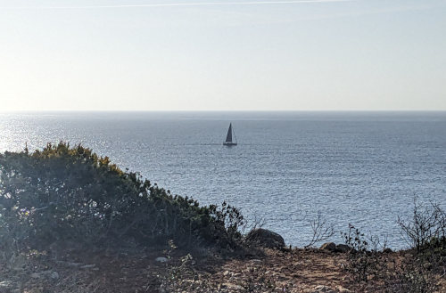 sailboat of the day