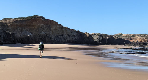 Beach Walking