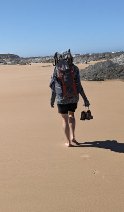 packed beach sand