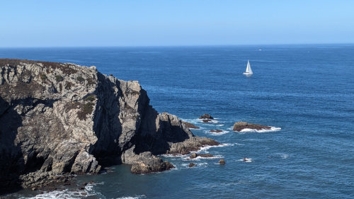 Portuguese Sailboat