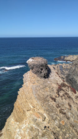 Fishermens Trail Stork Nest