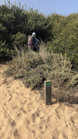 overgrown Fishermens Trail