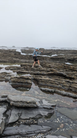 scrambling around tide pools