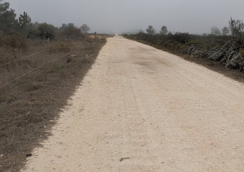 road walk of fishermens trail