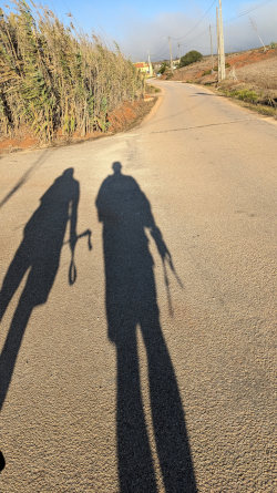 walking shadows on the dirt road