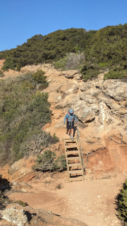 ladder on fishermen's trail