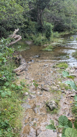 Loch Lomond High Water