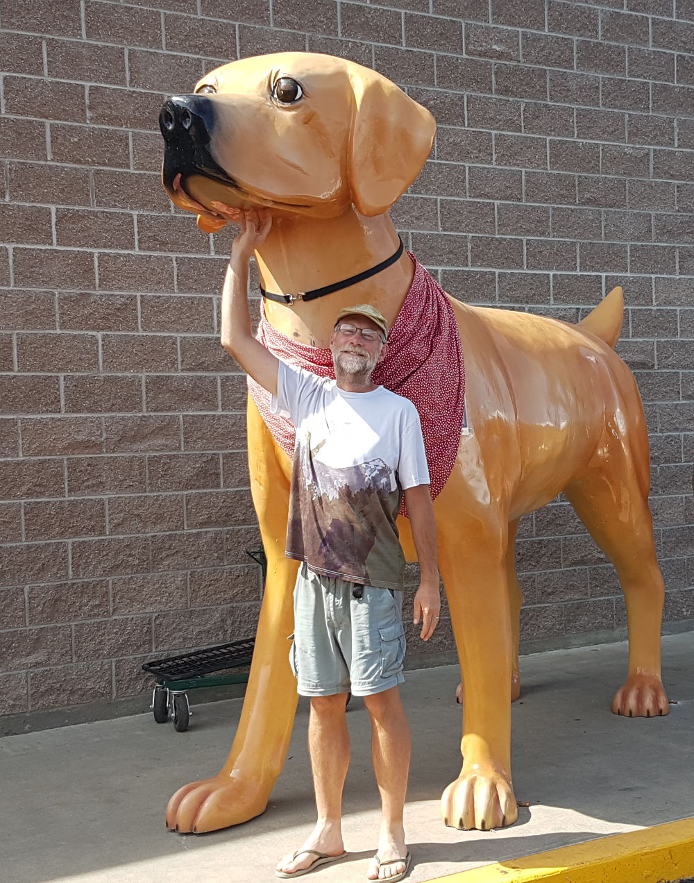 Big Dog in Oroville