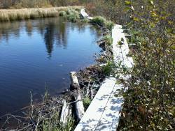 beaver dam trail